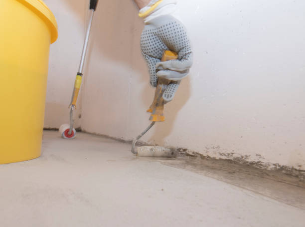 Best Termite Inspection and Treatment  in Ricardo, TX